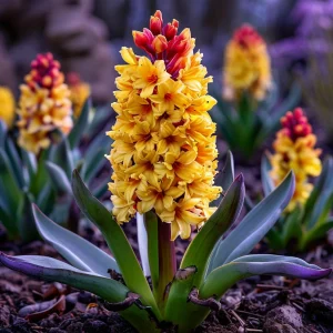 Гиацинт Миднайт Мистери купить по цене от 2099р. в интернет-магазине «Посадика» с доставкой почтой в в Моздоке и по всей России – [изображение №1].